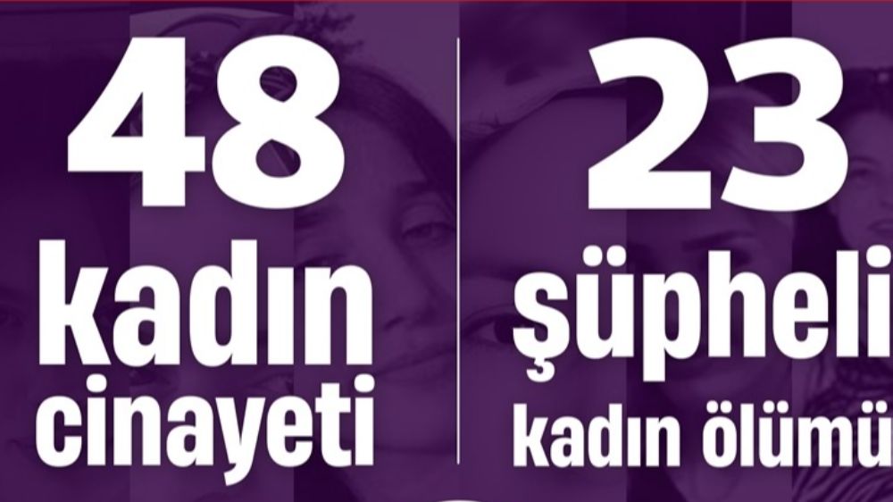 Kadın Cinayetleri 2024 Ekim Raporu