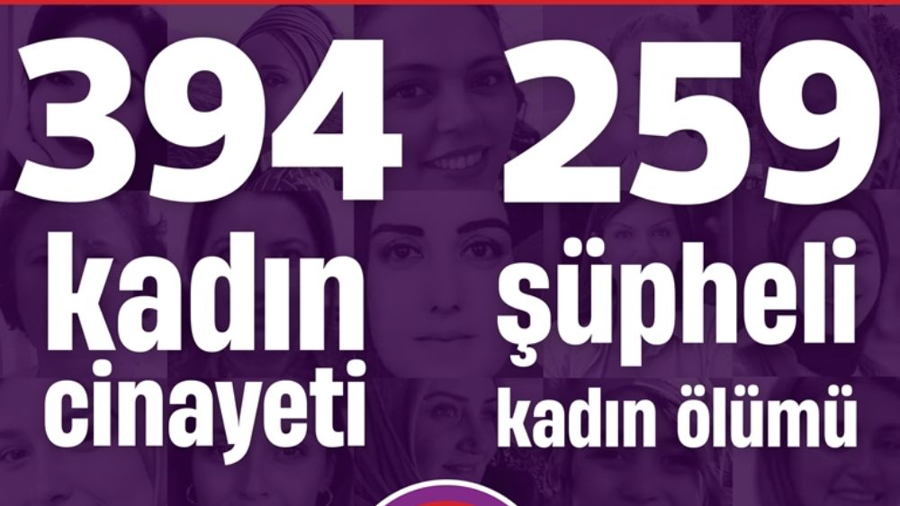 2024 Yılı Kadın Cinayetleri Raporu