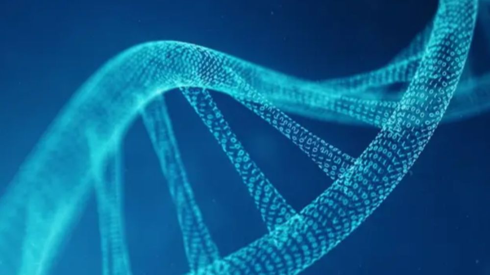 Yapay İnsan DNA'sı Yaratmak