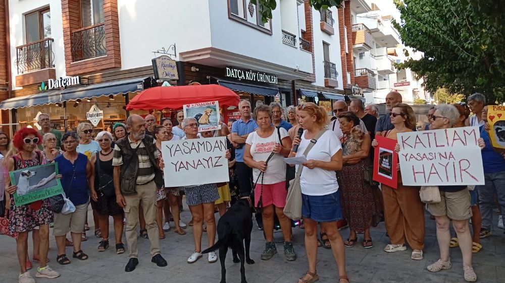 Katliam Yasasının 1.nci Yılında Datçalı Hayvan Severler Sokakta