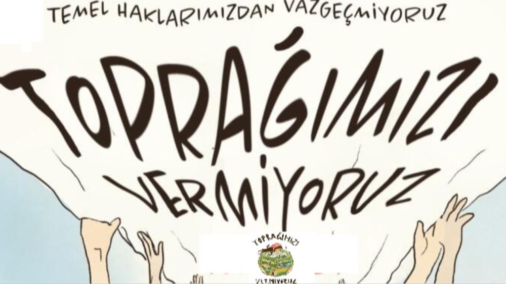 Zeytinliklerimize Çöküyorlar!