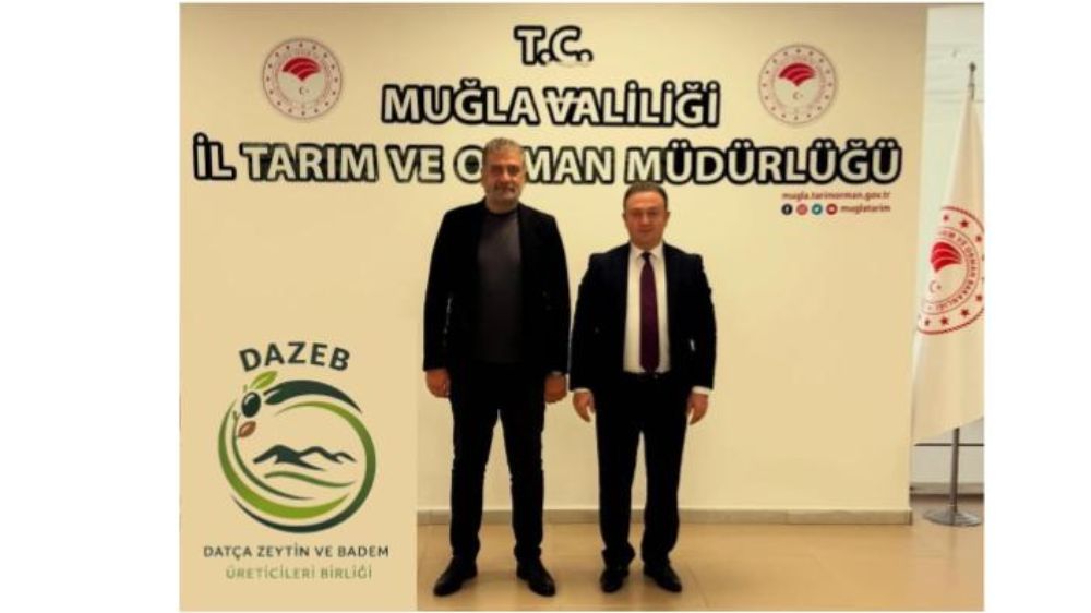 Datça Bademi Ve Zeytin Ayağa Kalkıyor