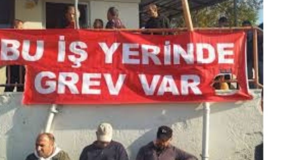 Uluslararası Adalet Divanı’nın Grev Hakkı Kararı