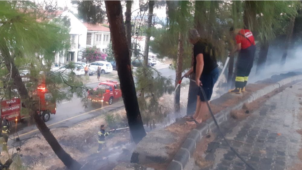 Datça'da Trafolara Dikkat!