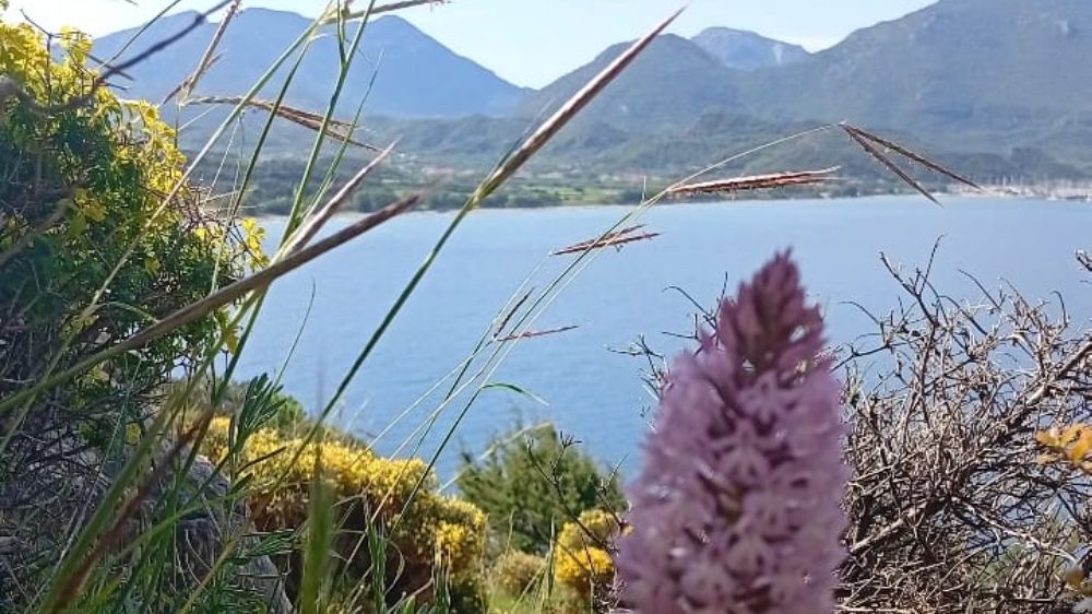 Datça'nın Doğası İçin Dayanışma Konseri Düzenleniyor