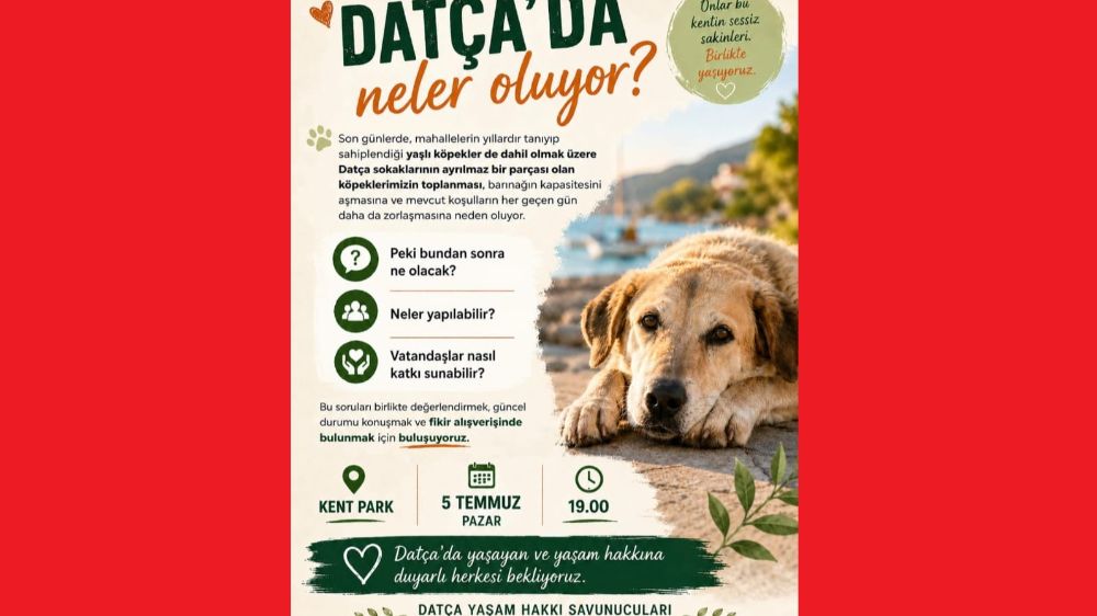 Datça Yaşam Hakları Savunucularından Çağrı Var 
