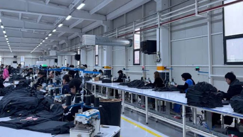 DİSK-AR Raporu Sendikalı İşçi Oranı Yüzde 13’te Kaldı