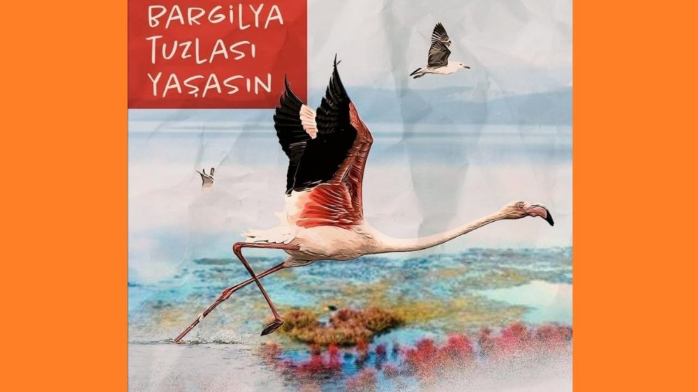 Hacıosmanoğlu'nun Bargilya Tuzlasında İşi Ne?