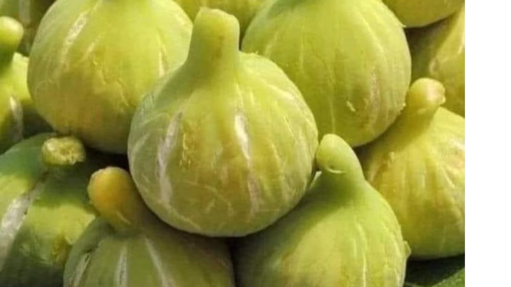Hani Benim Armutlarım Nerede?