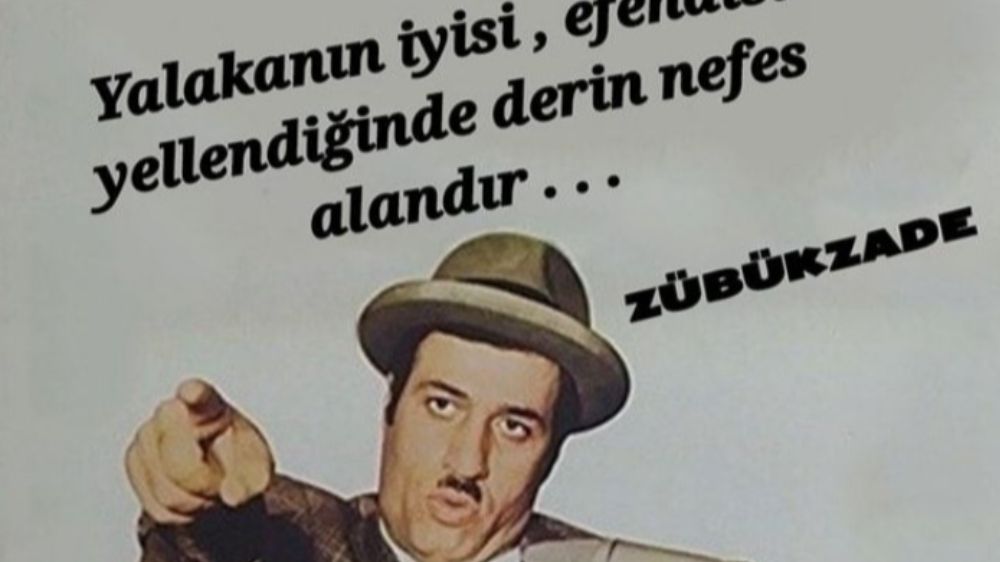 Zübükler ve Düzen